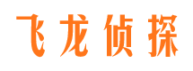 塔河外遇调查取证